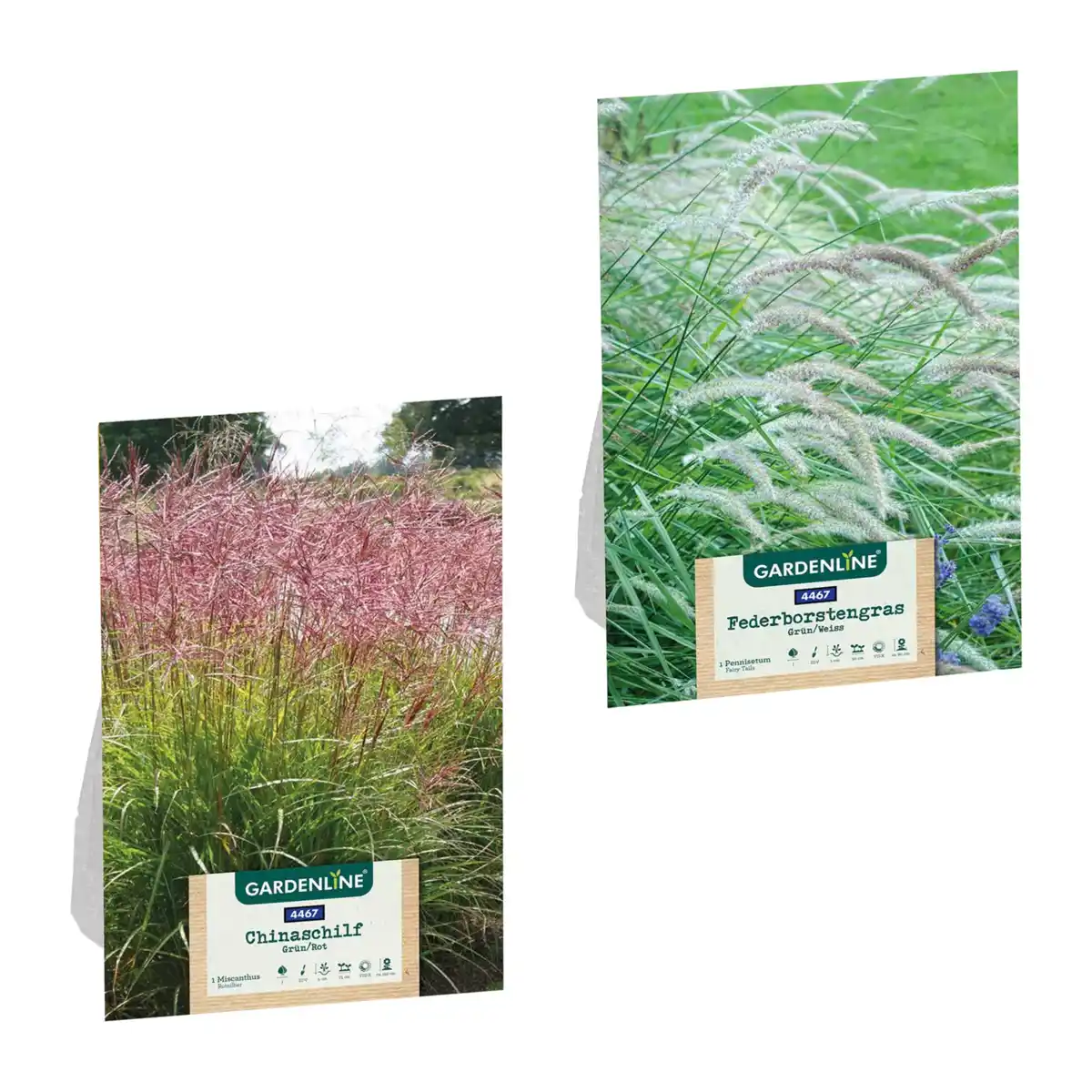 Bild 1 von GARDENLINE Ziergras