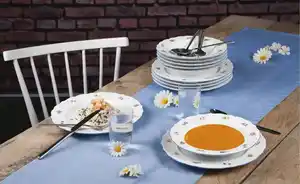 Seltmann Weiden Tafelservice Sonate