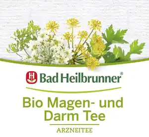 Bad Heilbrunner Bio Magen- und Darm Tee, 24 g