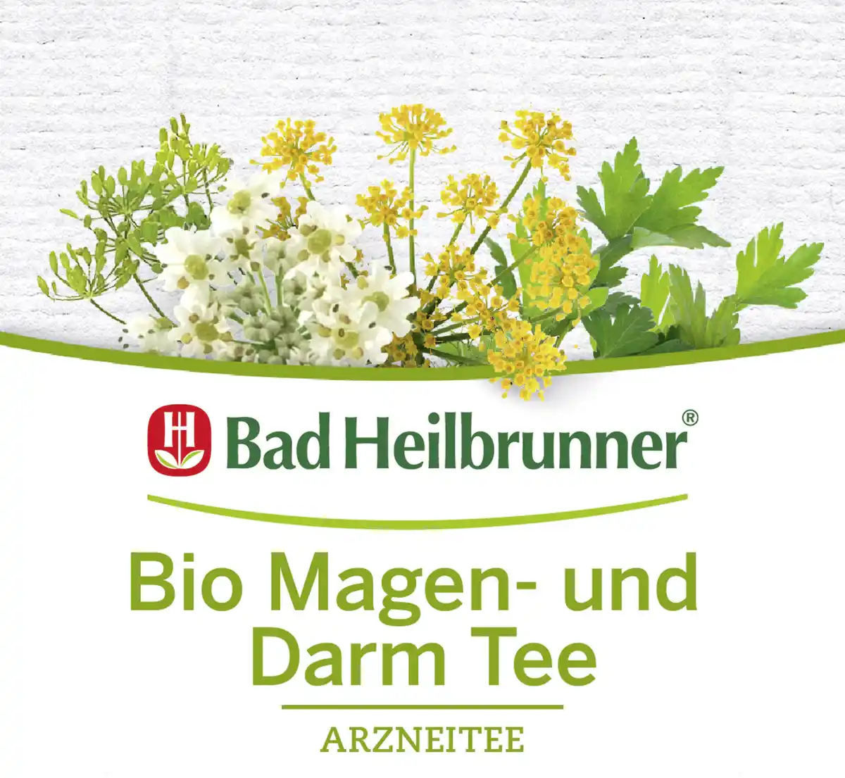 Bild 1 von Bad Heilbrunner Bio Magen- und Darm Tee, 24 g
