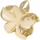 Bild 4 von Haarspange