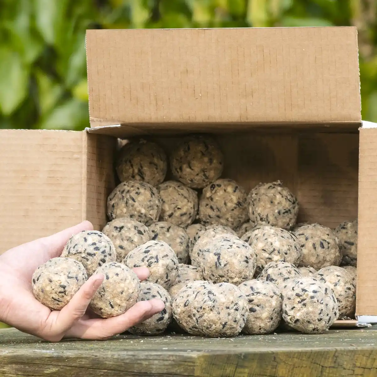 Bild 1 von CJ Wildlife Vogelfutter Meisenknödel 50 Stück