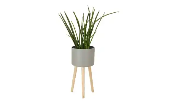 Bild 3 von Übertopf auf Holzbeinen