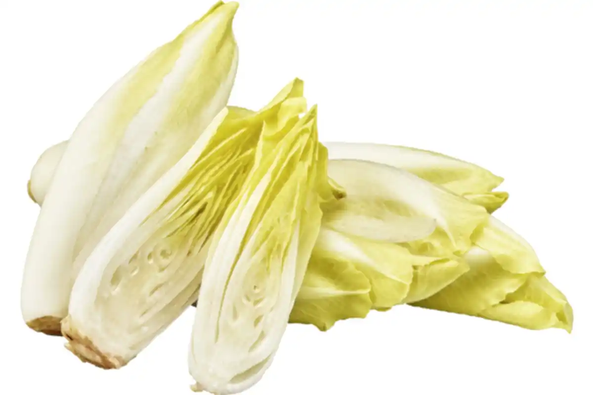 Bild 1 von Chicorée