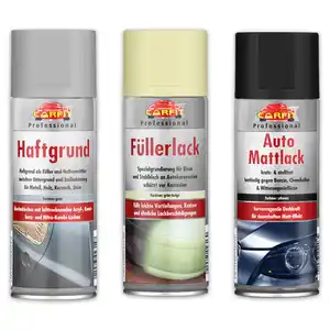 Carfit Professional Kfz-Reparatur-Spray