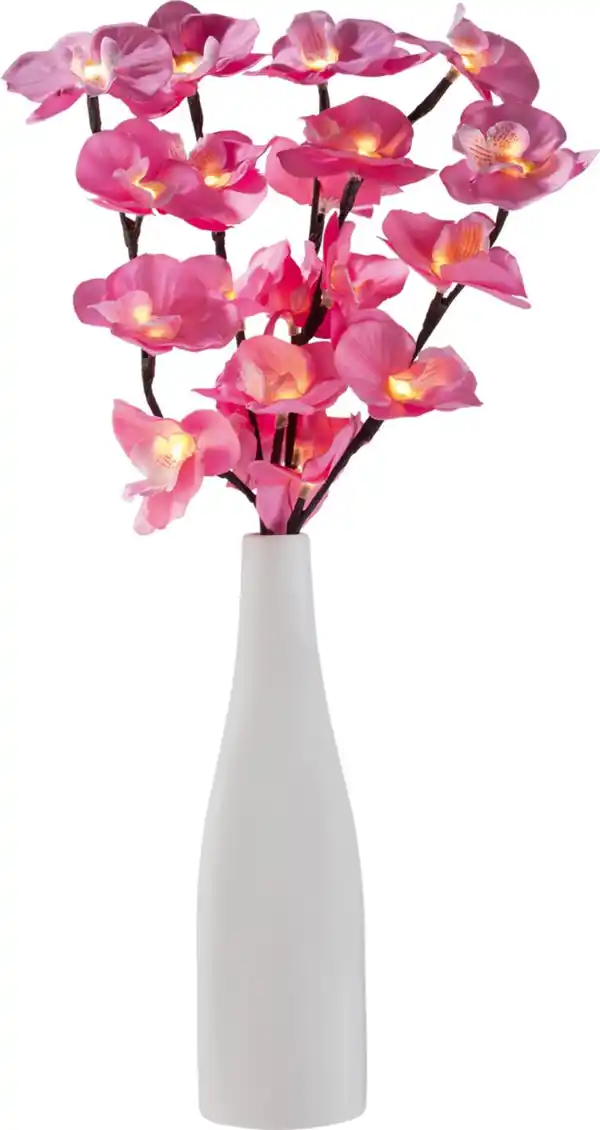Bild 2 von LIV&BO® Vase mit LED-Blütenzweigen