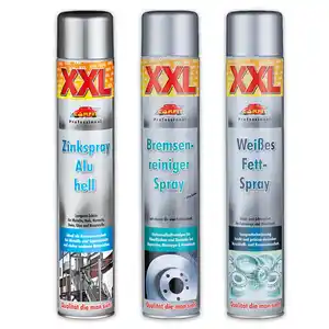 Carfit Professional XXL-Kfz-Spray