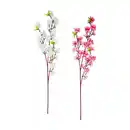 Bild 1 von Blütenzweig