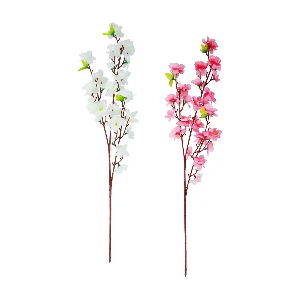 Bild 1 von Blütenzweig