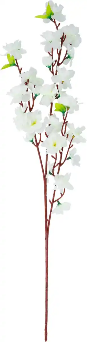 Bild 2 von Blütenzweig