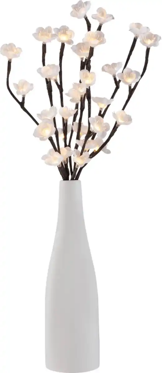 Bild 4 von LIV&BO® Vase mit LED-Blütenzweigen