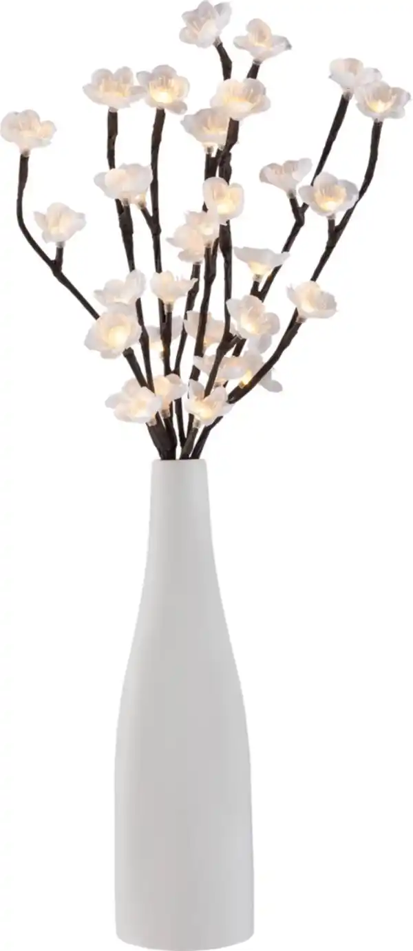 Bild 4 von LIV&BO® Vase mit LED-Blütenzweigen