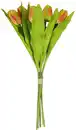 Bild 1 von Tulpenstrauß