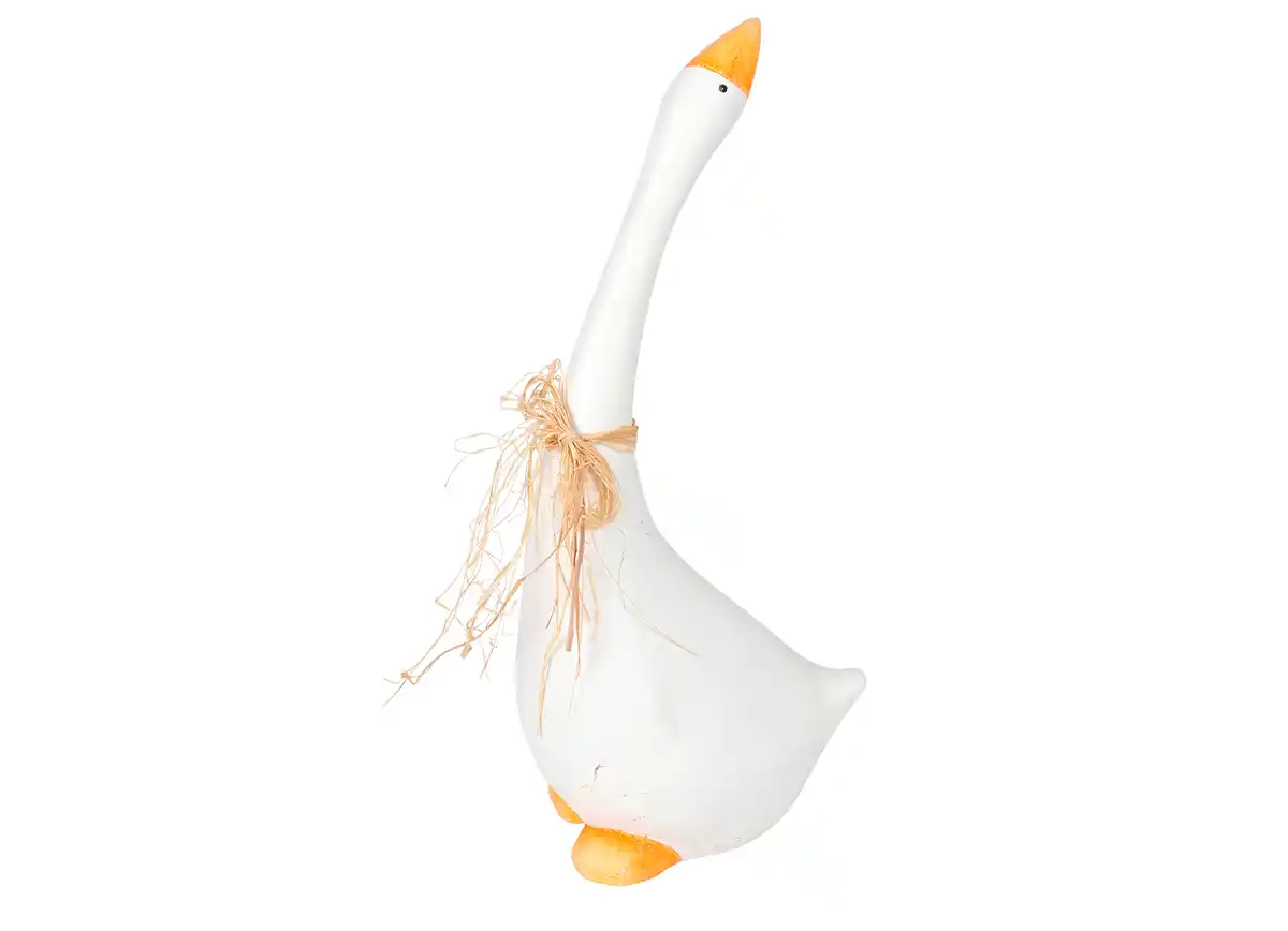 Bild 1 von Gans aus Magnesia