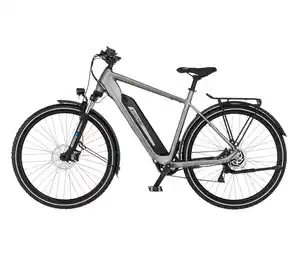 FISCHER Trekking-E-Bike TERRA 2.2 ACTIVE, groß (Diamant Rahmen)