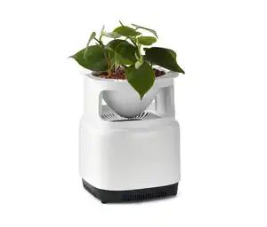 Blumentopf mit Luftfilter