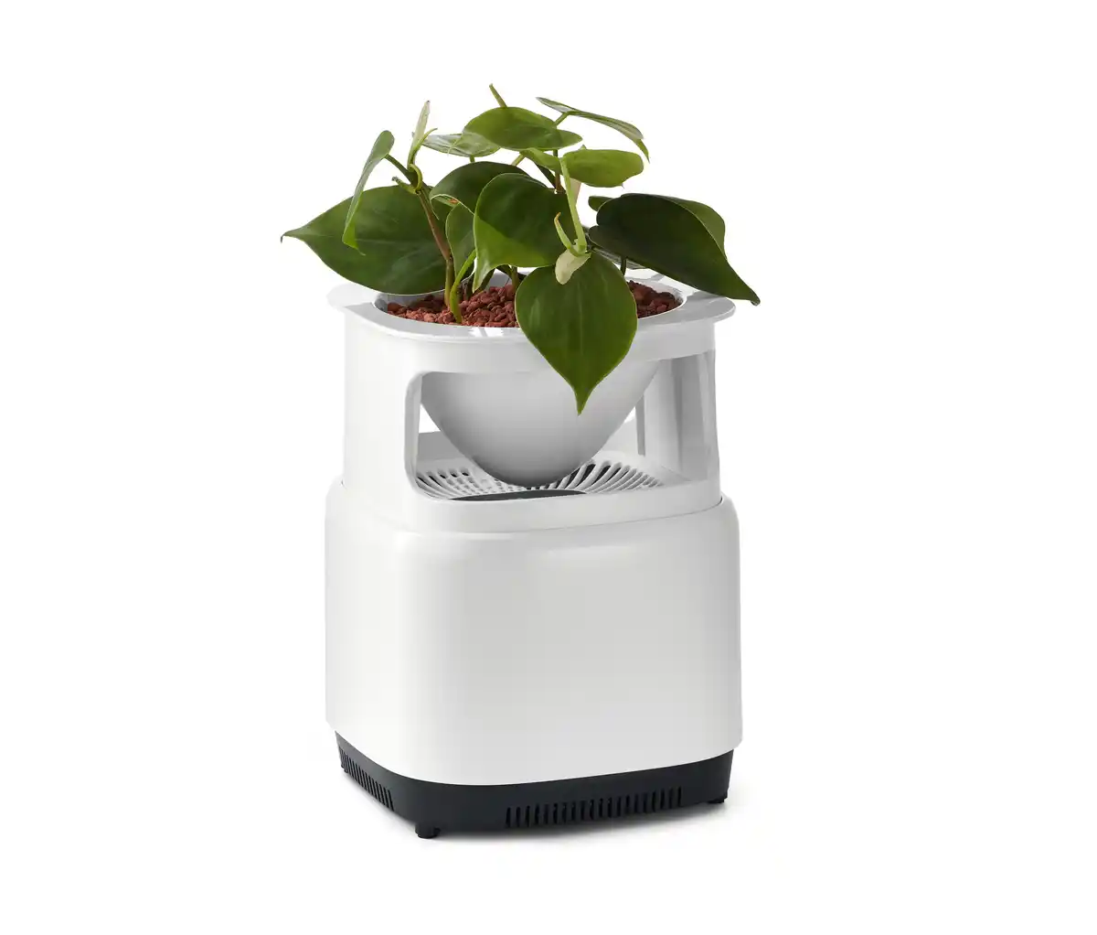 Bild 1 von Blumentopf mit Luftfilter