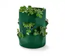 Bild 1 von Erdbeeren-Pflanztasche