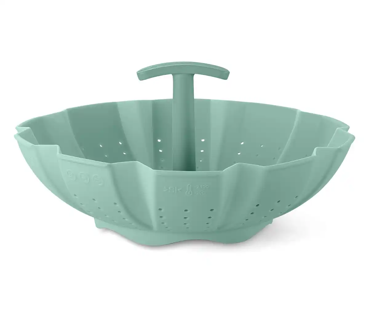 Bild 1 von Dampfgareinsatz