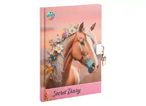 Tagebuch mit Schloss