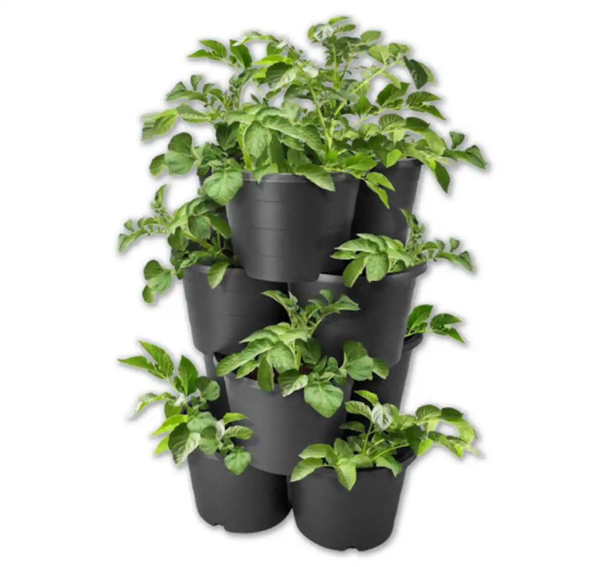 Bild 1 von 4-teiliger Pflanzturm*