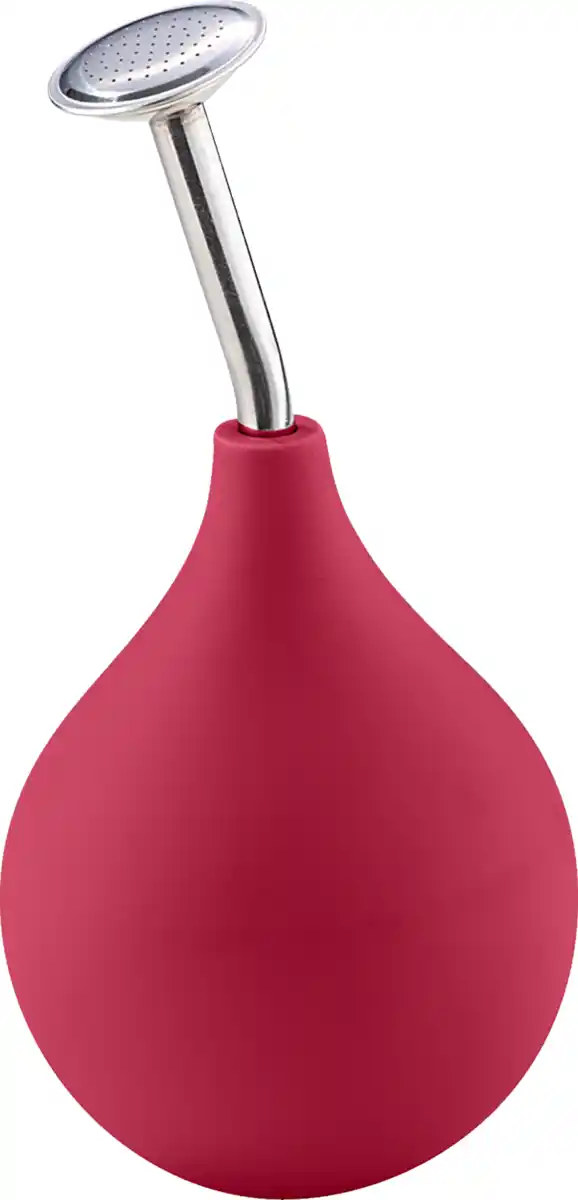 Bild 1 von IDEENWELT Pflanzenbrause rot