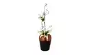 Bild 1 von Jette Home Vase