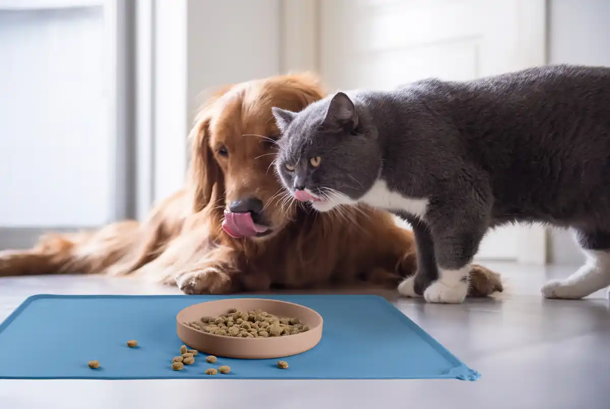 Bild 3 von IDEENWELT Napfunterlage blau