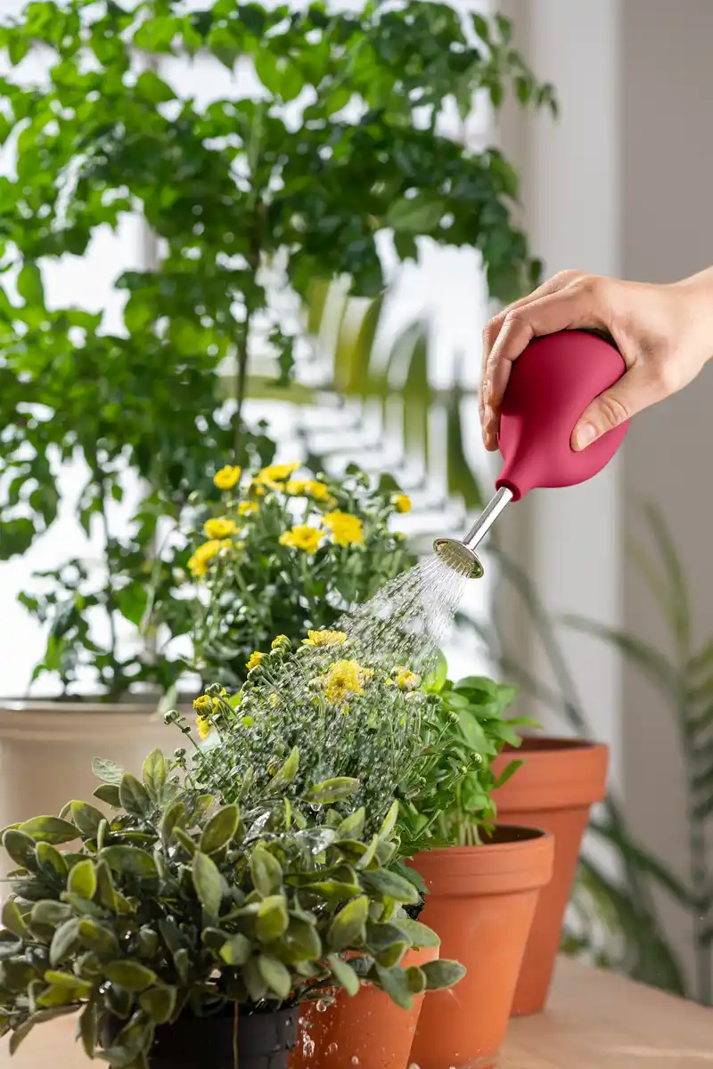 Bild 2 von IDEENWELT Pflanzenbrause rot