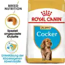 Bild 1 von ROYAL CANIN Cocker Puppy 3kg