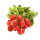 Bild 1 von Radieschen
