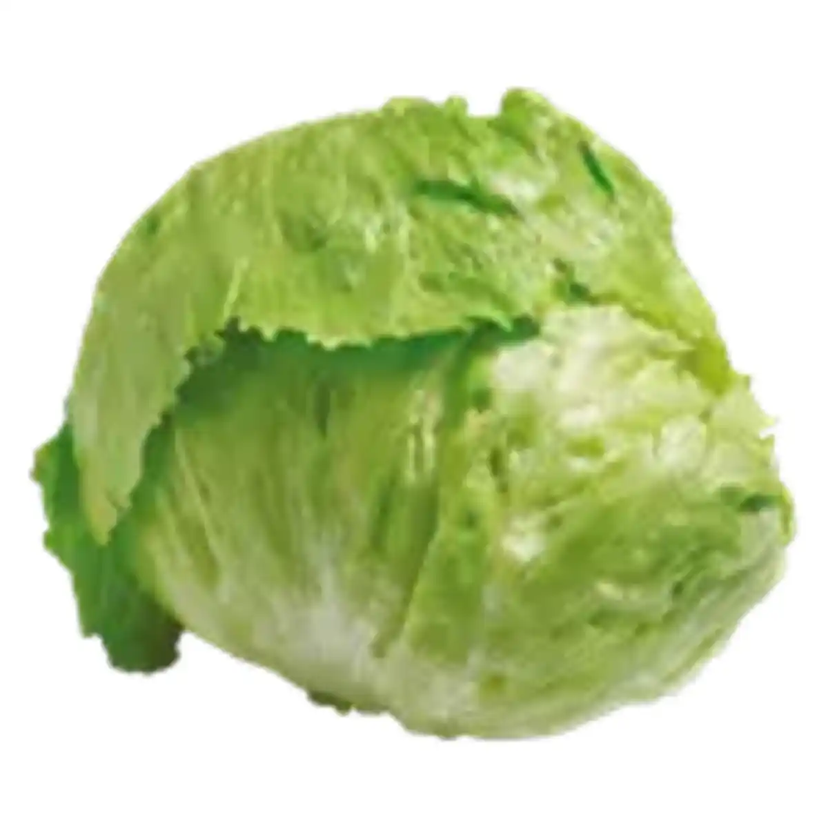 Bild 1 von Eisbergsalat