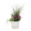 Bild 2 von GARDENLINE Bepflanztes Ostergefäß