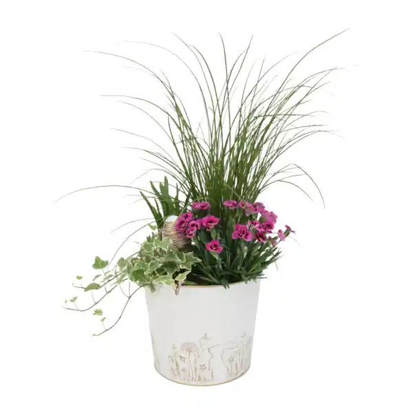 Bild 2 von GARDENLINE Bepflanztes Ostergefäß