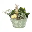 Bild 4 von GARDENLINE Bepflanztes Ostergefäß