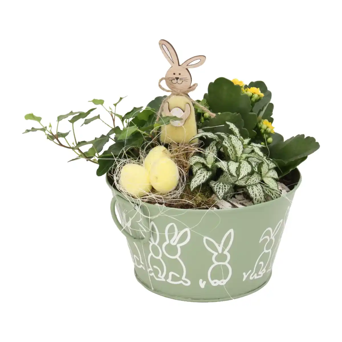 Bild 4 von GARDENLINE Bepflanztes Ostergefäß