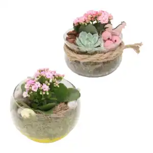 GARDENLINE Bepflanztes Osterglas