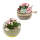 Bild 1 von GARDENLINE Bepflanztes Osterglas