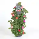 Bild 1 von Wandhänger Blumentopf