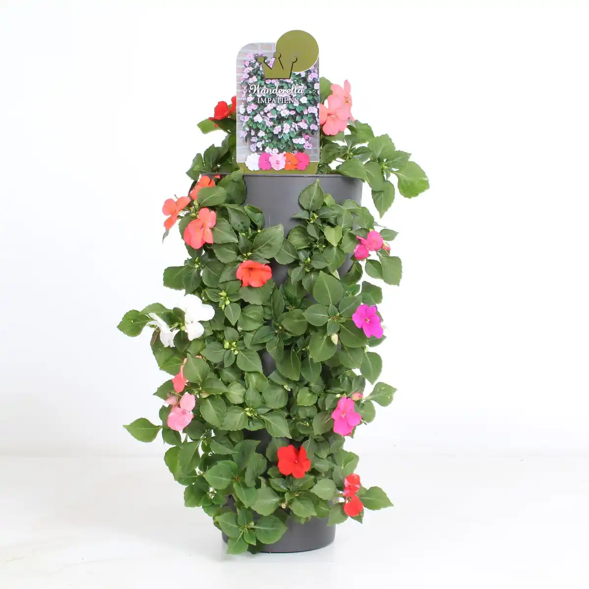 Bild 1 von Wandhänger Blumentopf