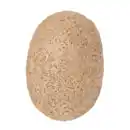 Bild 3 von KOSMOS Ausgrabungs-Ei