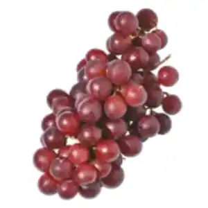 Trauben kernlos