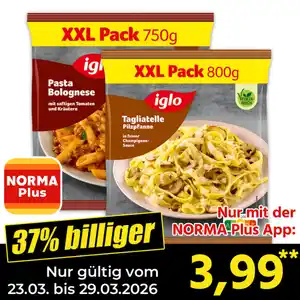 Iglo XXL Fertiggericht