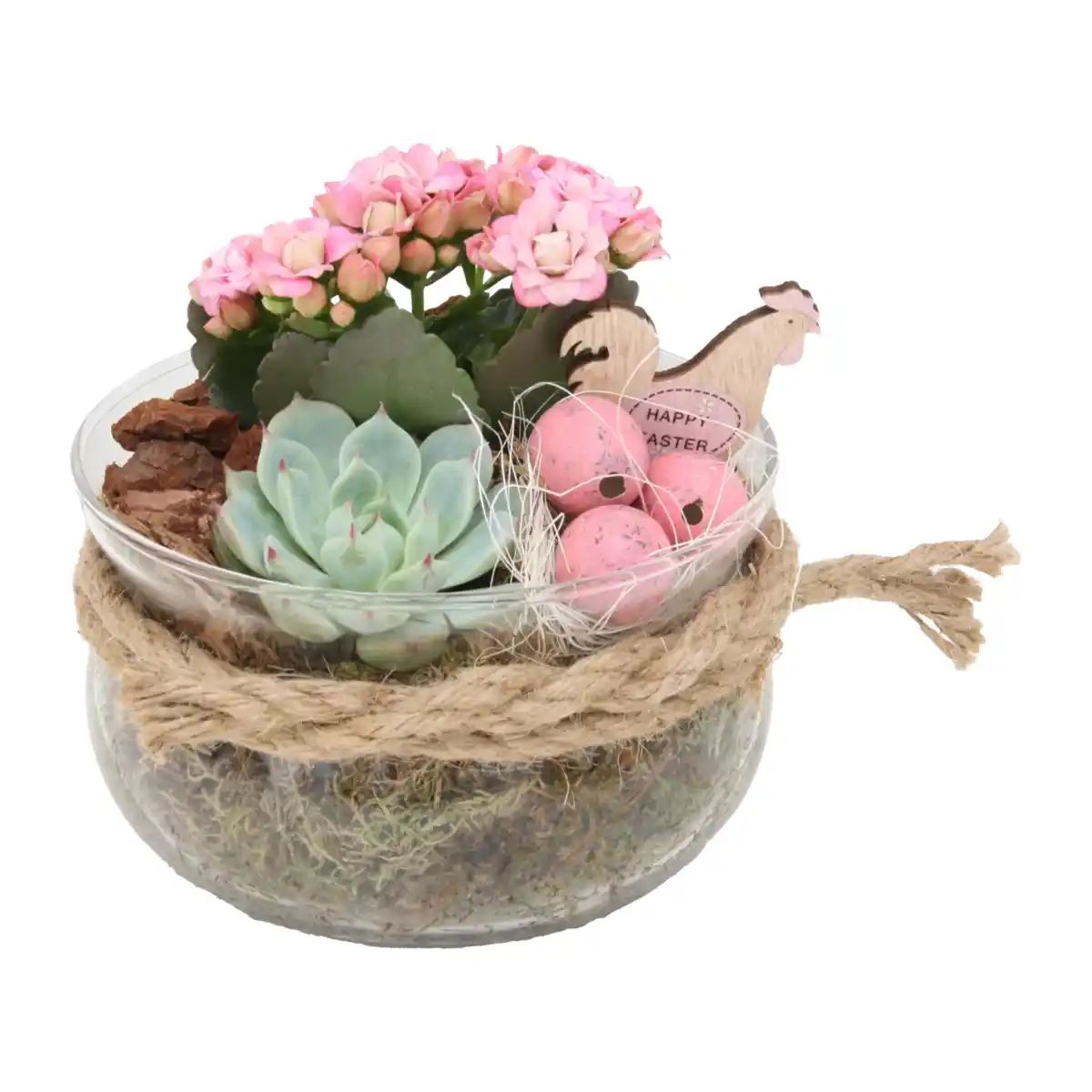 Bild 3 von GARDENLINE Bepflanztes Osterglas