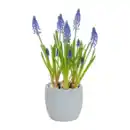 Bild 3 von GARDENLINE Bepflanzte Osterkeramik