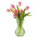 Bild 1 von Tulpen