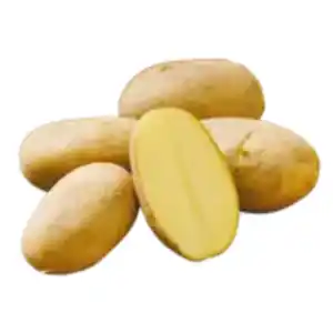 Pflanzkartoffeln „Wega“