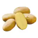 Bild 1 von Pflanzkartoffeln „Wega“