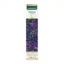 Bild 4 von GARDENLINE Rankpflanze