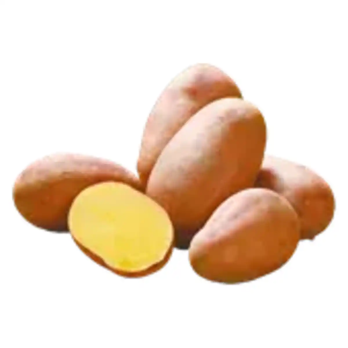 Bild 1 von Pflanzkartoffeln „Baltic Rose“